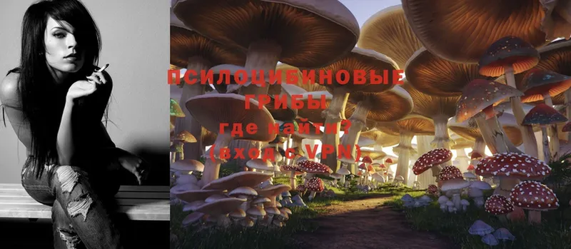 Псилоцибиновые грибы Magic Shrooms  Минусинск 